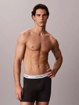 Boxer Icon in Cotton Stretch Boxer Brief