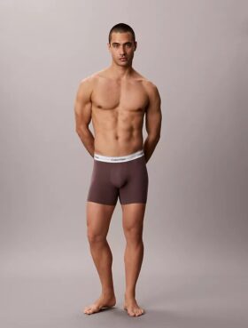 Boxer Icon in Cotton Stretch Boxer Brief