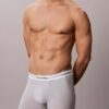 Boxer Icon in Cotton Stretch Boxer Brief