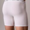 Boxer Icon in Cotton Stretch Boxer Brief