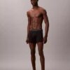 Boxer Icon in Cotton Stretch, édition limitée