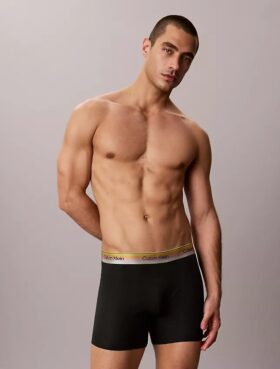 Boxer Icon in Cotton Stretch Pride Boxer Brief