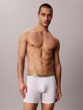 Boxer Icon in Cotton Stretch Pride Boxer Brief
