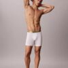 Boxer Icon in Cotton Stretch Pride Boxer Brief
