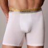 Boxer Icon in Cotton Stretch Pride Boxer Brief