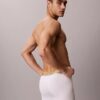 Boxer Icon in Cotton Stretch Pride Boxer Brief