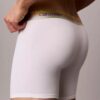 Boxer Icon in Cotton Stretch Pride Boxer Brief