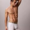Boxer Icon in Cotton Stretch Pride Boxer Brief