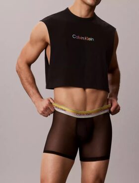Boxer Icon Mesh Pride Boxer Brief