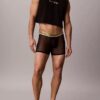 Boxer Icon Mesh Pride Boxer Brief