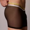 Boxer Icon Mesh Pride Boxer Brief