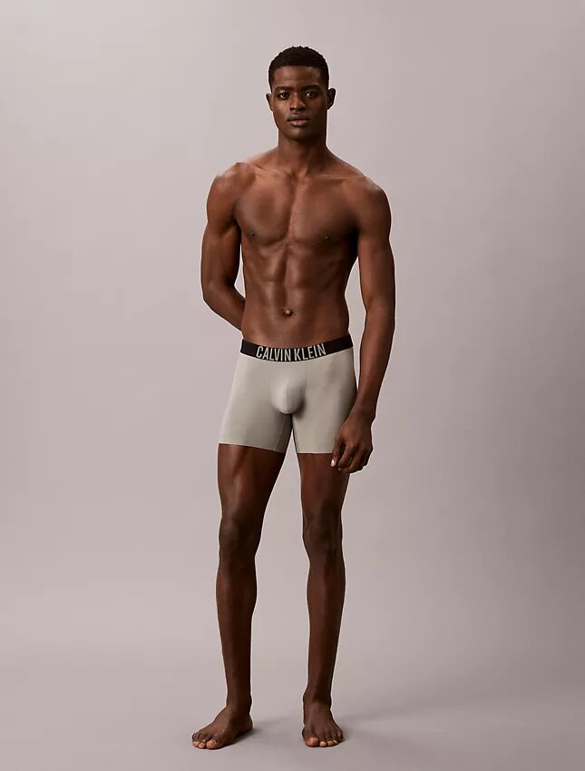 Boxer Intense Power Motion Boxer Brief Boxer Intense Power Motion Boxer Brief
