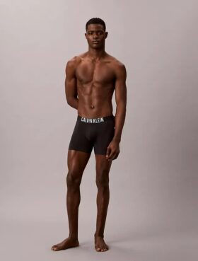 Boxer Intense Power Motion Boxer Brief Boxer Intense Power Motion Boxer Brief