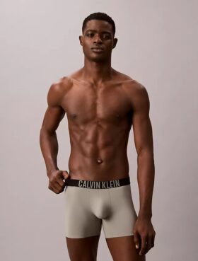Boxer Intense Power Motion Boxer Brief Boxer Intense Power Motion Boxer Brief