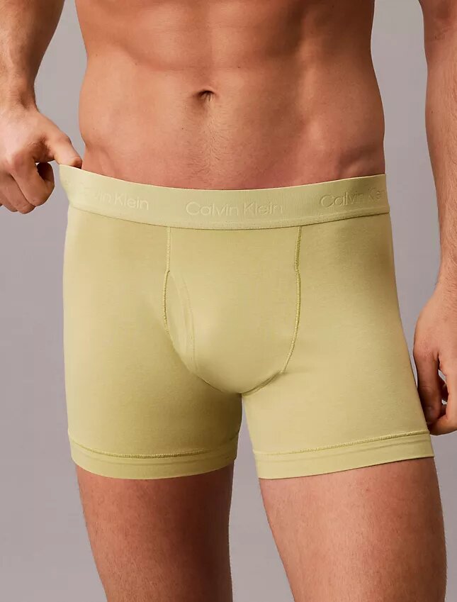 Boxer Naturals en coton Cotton Stretch Boxer Naturals en coton Cotton Stretch