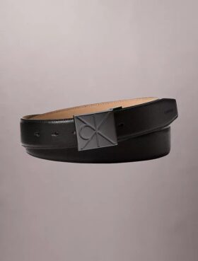 Ceinture avec plaque logo emblématique