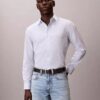 Chemise classique boutonnée en Cotton Stretch à rayures Chemise classique boutonnée en Cotton Stretch à rayures