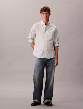 Chemise classique boutonnée à rayures