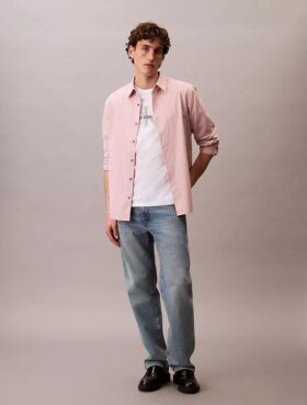 Chemise classique boutonnée à rayures
