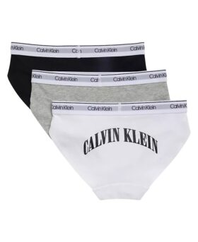 Logo Arch graphique, lot de 3 culottes Hipster taille basse