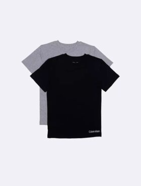 Lot de 2 t-shirts en coton pour garçons