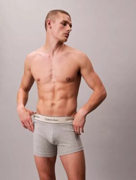 Lot de 3 boxers courts en Cotton Stretch Heritage