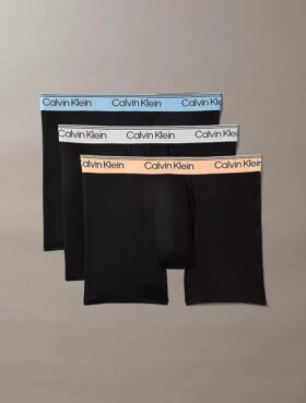 Lot de 3 Boxers en microfibre extensible