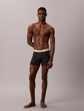 Lot de 3 Boxers en microfibre extensible