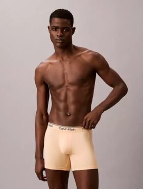 Lot de 3 Boxers en microfibre extensible