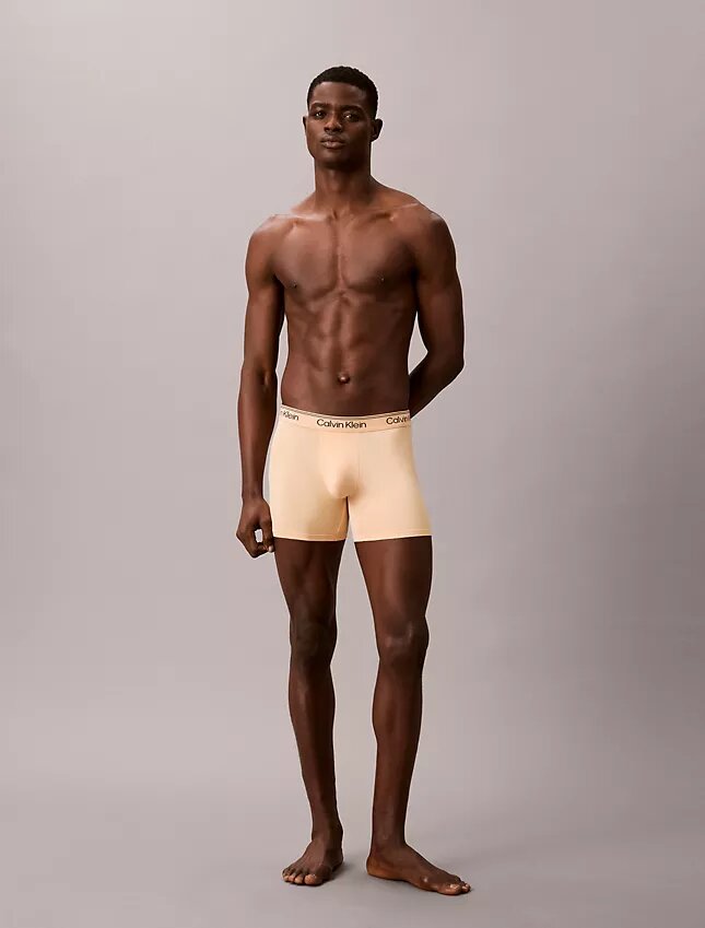 Lot de 3 Boxers en microfibre extensible Lot de 3 Boxers en microfibre extensible
