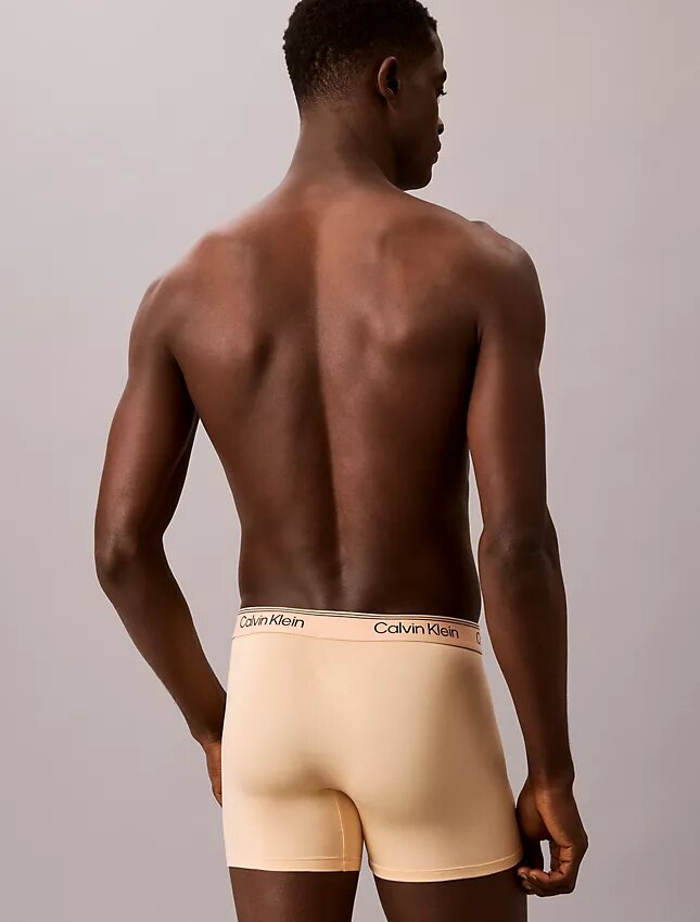 Lot de 3 Boxers en microfibre extensible Lot de 3 Boxers en microfibre extensible