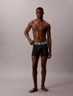Lot de 3 Boxers Intense Power Micro