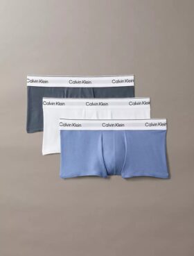 Lot de 3 boxers Low Rise Trunk en Cotton Stretch Icon
