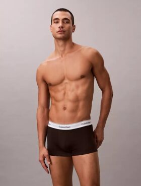 Lot de 3 boxers Low Rise Trunk en Cotton Stretch Icon