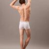 Lot de 3 boxers Low Rise Trunk en Cotton Stretch Icon