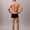Lot de 3 boxers Low Rise Trunk en Cotton Stretch Icon