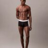 Lot de 3 boxers Low Rise Trunk en Cotton Stretch Icon