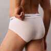 Lot de 3 slips taille basse en Cotton Stretch Icon