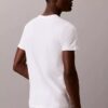 Lot de 3 t-shirts à col rond coupe classique Cotton Classics Lot de 3 t-shirts à col rond coupe classique Cotton Classics
