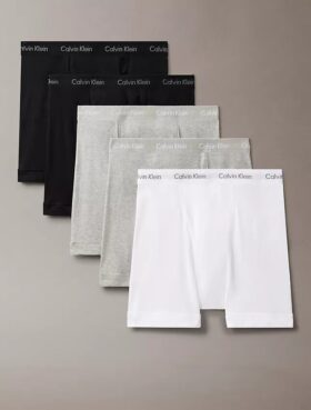 Lot de 5 Boxers Cotton Classics