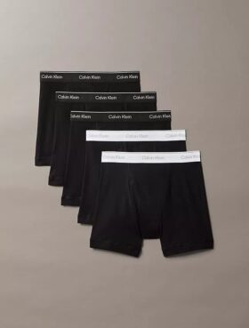 Lot de 5 Boxers Cotton Classics