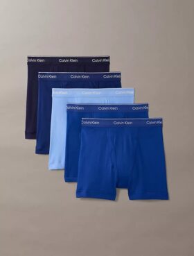 Lot de 5 Boxers Cotton Classics