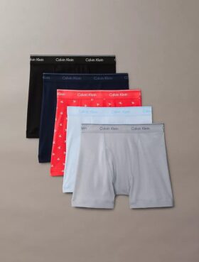 Lot de 5 Boxers Cotton Classics