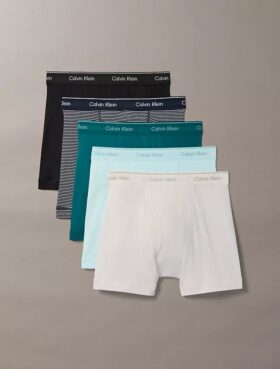 Lot de 5 Boxers Cotton Classics