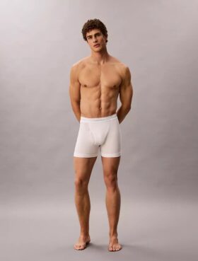 Lot de 5 Boxers Cotton Classics