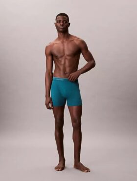 Lot de 5 Boxers Cotton Classics