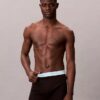 Lot de 5 Boxers Cotton Classics