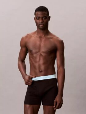 Lot de 5 Boxers Cotton Classics