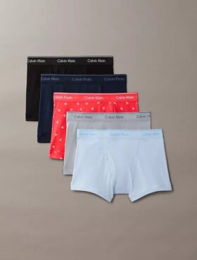 Lot de 5 boxers courts Cotton Classics