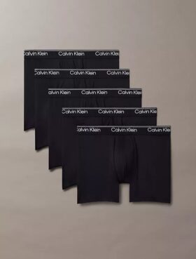 Lot de 5 Boxers en microfibre extensible